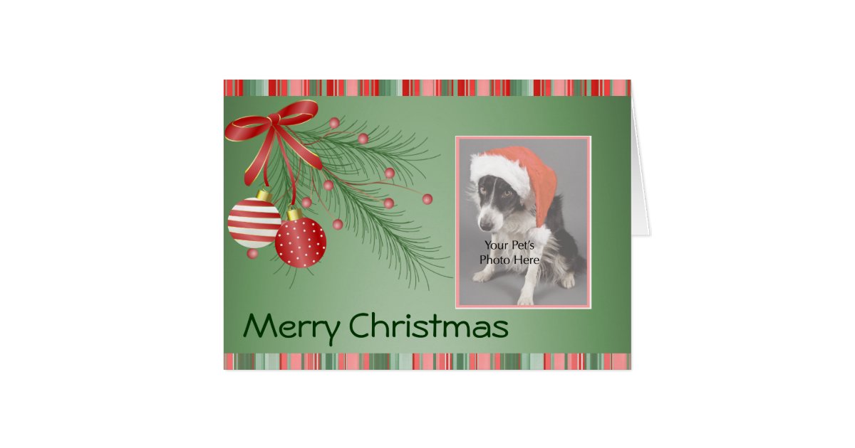 Custom Pet Photo Christmas cards | Zazzle