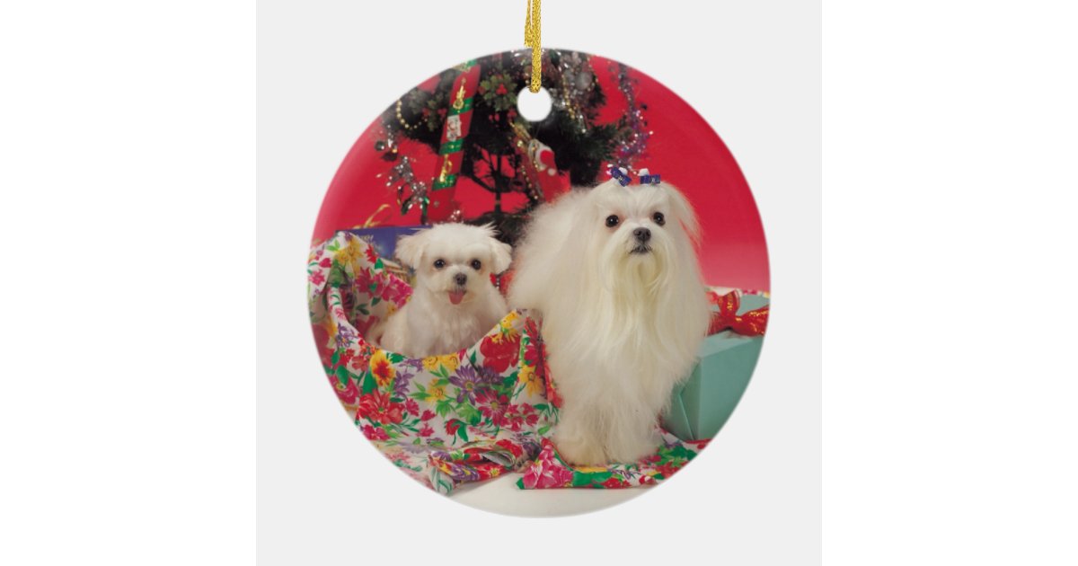 Custom Pet Photo Christmas Ornament | Zazzle