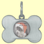 Custom Pet Photo Dog Bone Tag pet tags