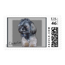 Custom Pet Portrait Postage Stamps