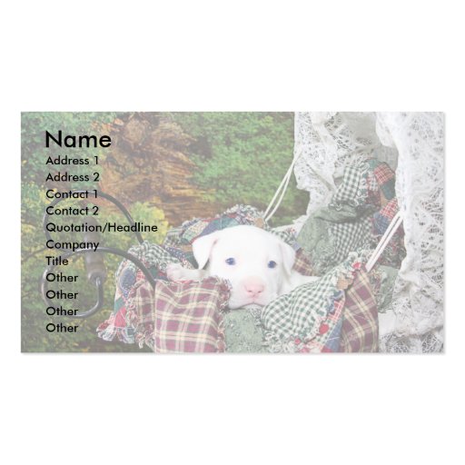 Custom Pet Sitting Service Business Card (front side)