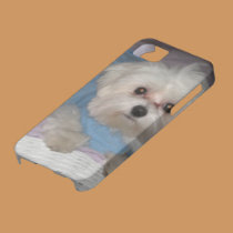 Custom Photo iPhone 5 Case casemate cases