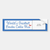 Custom Photo! Worlds Greatest Border Collie Mix Bumper Sticker