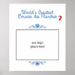 Custom Photo! Worlds Greatest Bouvier des Flandres Print