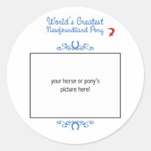 Custom Photo! Worlds Greatest Newfoundland Pony Round Stickers