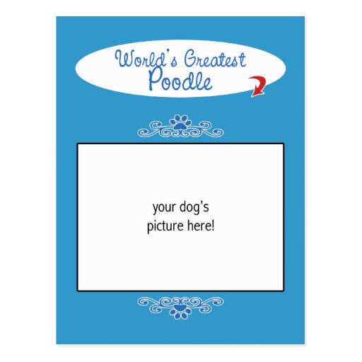 Custom Photo! Worlds Greatest Poodle Post Cards