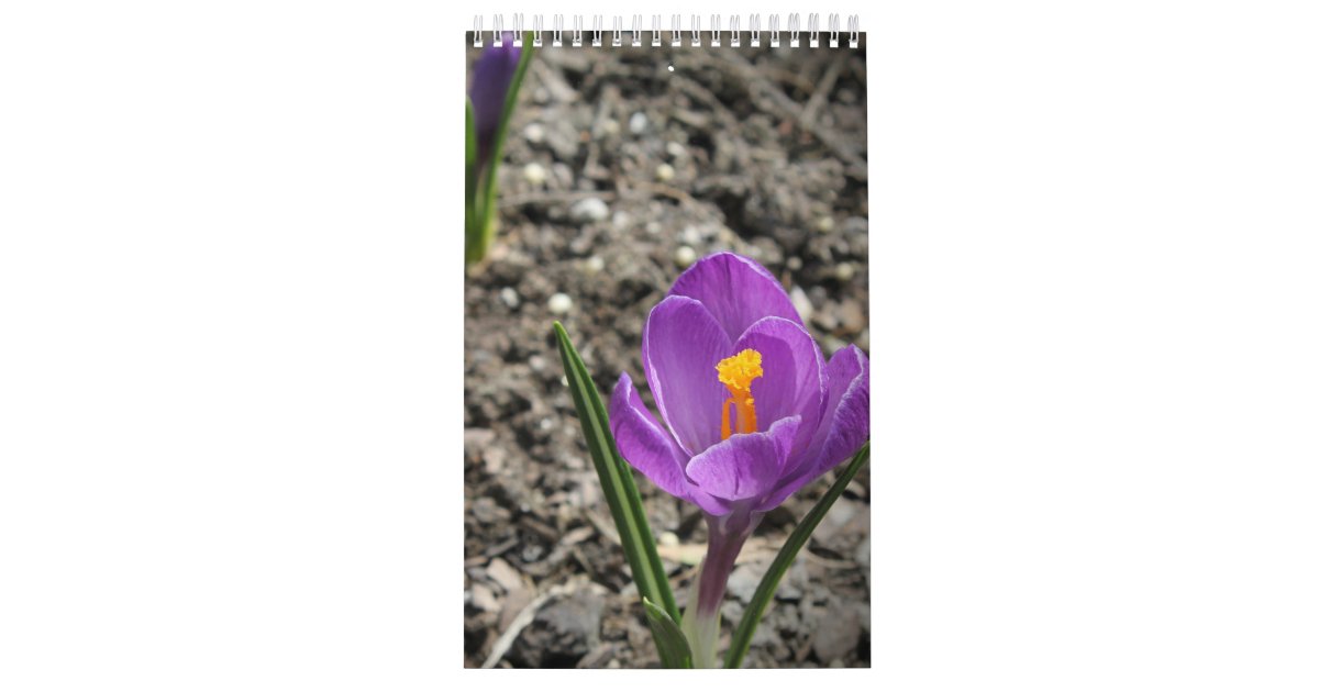 Custom Photography Wall Calendar Zazzle