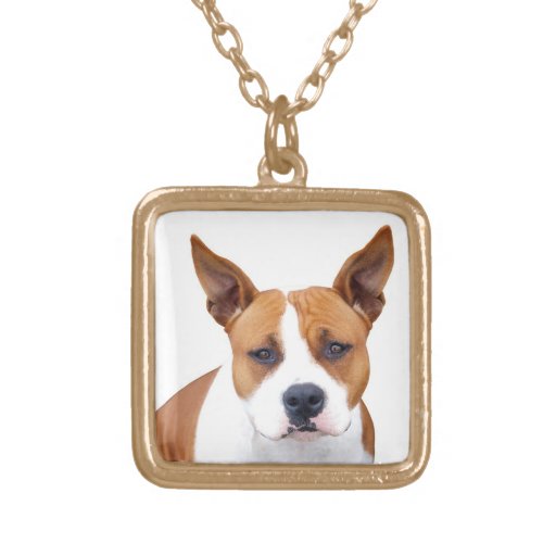 Pitbull Clothing Accessories, Pitbull Fashion Accessories