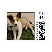 Custom Postage postage