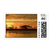 Custom Postage From Photos