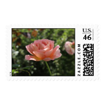 Custom Postage Stamp with Tulip