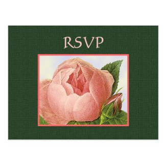 Custom RSVP Botanical Pink Roses Postcard