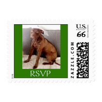 Custom rsvp Dog Postage
