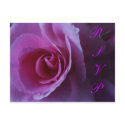 Custom RSVP Inserts postcards