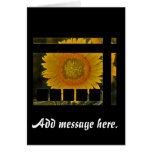 Custom Sunflower Card