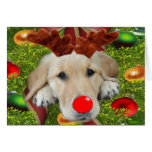 Custom Text Holiday Card 7