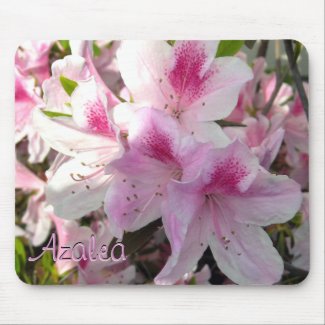 Custom Text Hot Pink Azalea Flower Photo Mousepad