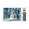 Custom Wedding Postage Winter Wedding Stamps