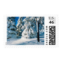 Custom Wedding Postage Winter Wedding Stamps