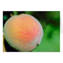 Customizable All-Occasion "Georgia Peach" Card