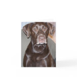 Customizable All-Occasion Greeting Card