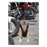 Customizable Biker Lab cards