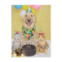 Customizable Birthday Greeting or Invitation postcards