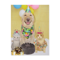 Customizable Birthday Greeting or Invitation postcards by myrtieshuman Customizable Birthday Greeting or Invitation postcards