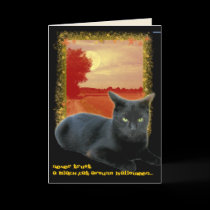 Customizable Black Cat Halloween cards