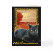 Customizable Black Cat Halloween Cards