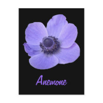 Customizable Blue Anemone Flower Postcard