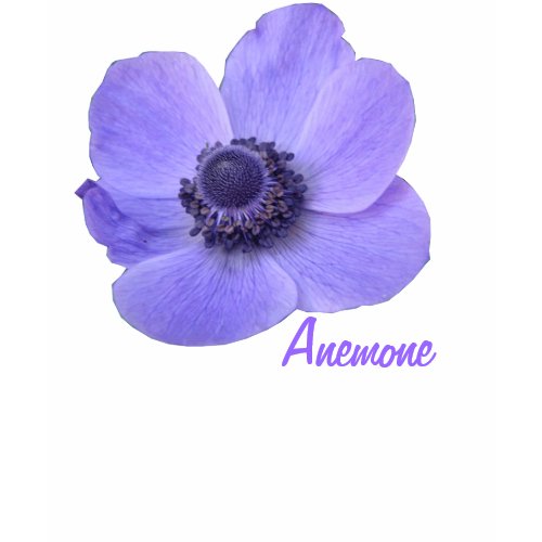 Customizable Blue Anemone Flower T Shirt shirt