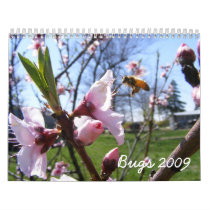 Customizable Bug Calendar by Customizables Customizable Bug Calendar