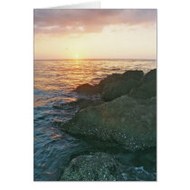 Customizable Card features Florida sunset