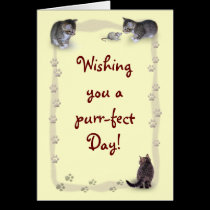 Customizable Cat cards