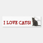 Customizable Cat Lover Gifts & Greetings bumper stickers