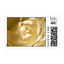 Customizable Cream Rose Wedding Postage