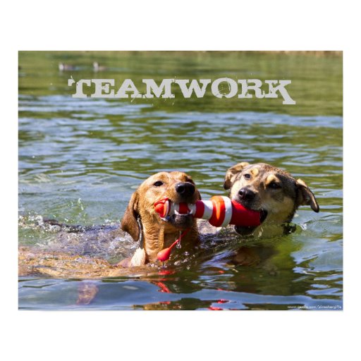 Customizable Dog Teamwork Poster | Zazzle