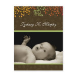 Customizable Fall  Birth Announcement Template Postcards