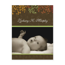 Customizable Fall  Birth Announcement Template Postcards