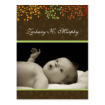 Customizable Fall  Birth Announcement Template Postcards