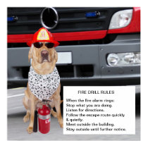 Customizable Fire Drill posters