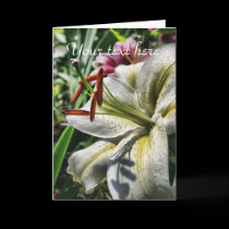 Customizable floral greeting card