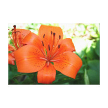 Customizable Flower Canvas Gallery Wrap Canvas