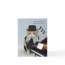 Customizable Funny Cat Greeting Cards