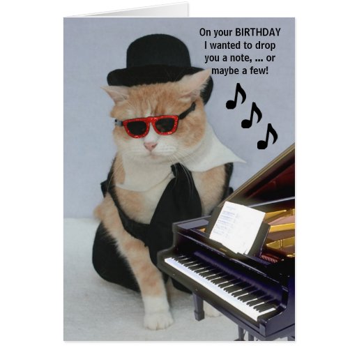 Customizable Funny Cat Card | Zazzle