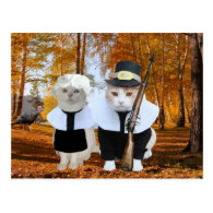Customizable Funny Cat/Kitty Pilgrims Postcard