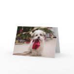 Customizable Funny Christmas Card