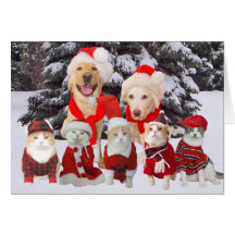Customizable Funny Pets Christmas Card