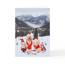 Customizable Funny Pets in Alps Cards